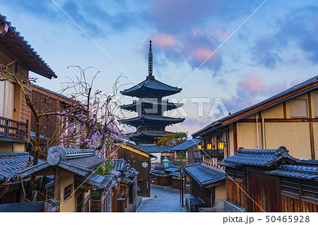 京都 春の八坂の塔（法観寺）　　 50465928