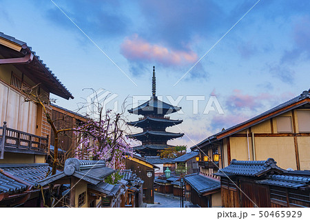 京都 春の八坂の塔(法観寺) 京都 春の八坂の塔(法観寺) 50465929