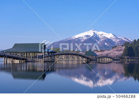 青森県 鶴の舞橋と岩木山 青森県 鶴の舞橋と岩木山 50466288