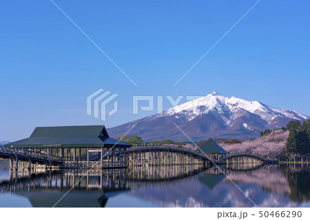 青森県 鶴の舞橋と岩木山 青森県 鶴の舞橋と岩木山 50466290