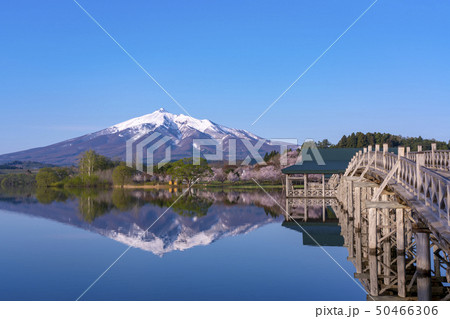 青森県 鶴の舞橋と岩木山 青森県 鶴の舞橋と岩木山 50466306