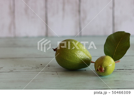 グアバの実 50466309