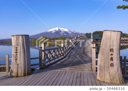 青森県　鶴の舞橋と岩木山 50466310
