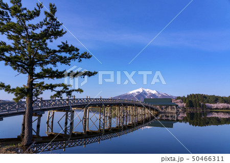 青森県　鶴の舞橋と岩木山 50466311