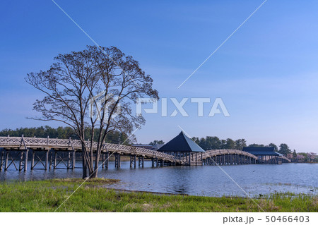 青森県 鶴の舞橋 青森県 鶴の舞橋 50466403