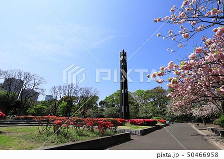 国会前庭（北地区） 50466958