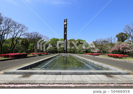 国会前庭(北地区) 国会前庭(北地区) 50466959