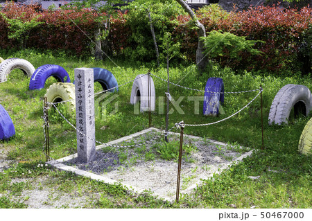 岡山県真庭市 真庭市立中津井小学校 閉校記念植樹 岡山県真庭市 真庭市立中津井小学校 閉校記念植樹 50467000