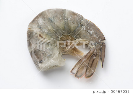 冷凍海老 冷凍海老 50467052