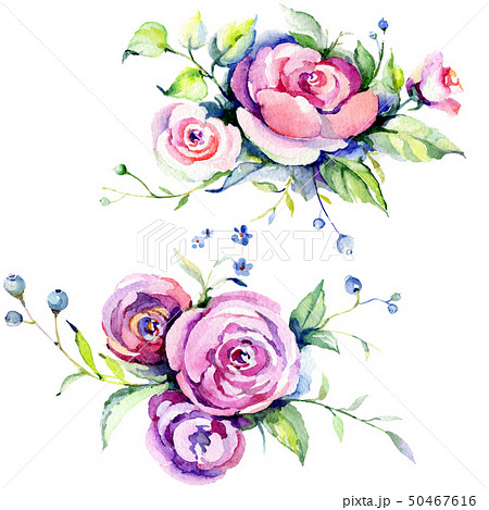 Pink rose bouquet loral botanical flowers. Watercolor background set. Isolated bouquets illustration 50467616