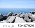 海 海 50467929