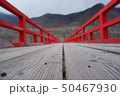 橋 橋 50467930