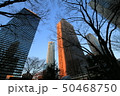 新宿のビル群 50468750