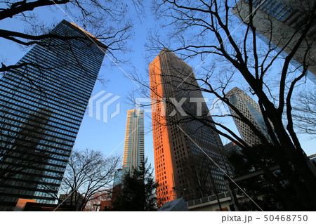 新宿のビル群 50468750
