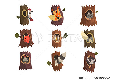 Cute Animals And Birds Sitting In Hollow Of のイラスト素材