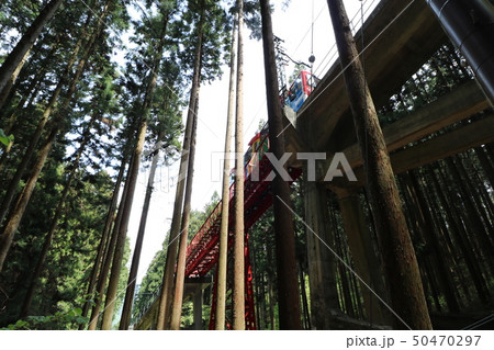 東京都の奥多摩の御岳山の登山 50470297