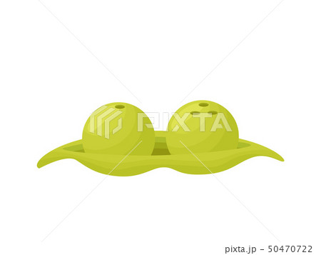 Stylish salt and pepper shaker in the form peas. Vector illustration. 50470722