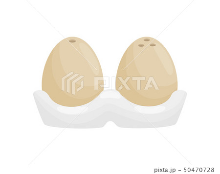 Stylish salt and pepper shaker in the form of eggs. Vector illustration. 50470728