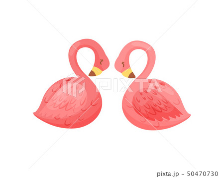 Stylish salt and shaker in the form of flamingos. Vector illustration. 50470730