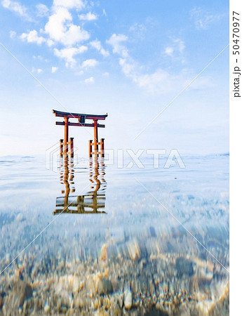 白鬚神社 50470977