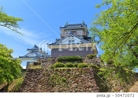 【福井県】新緑の越前大野城 【福井県】新緑の越前大野城 50471072