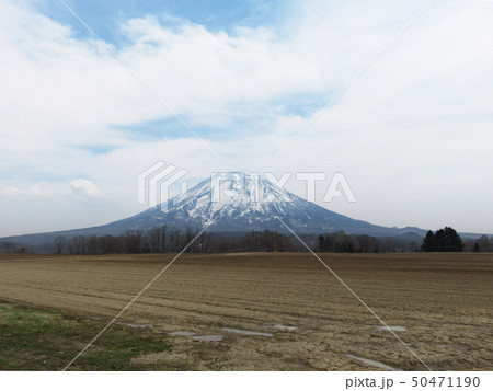 羊蹄山 50471190