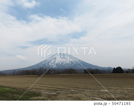 羊蹄山 50471193