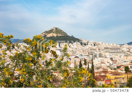 Blooming tree (in focus) against Athens cityscape 50473478