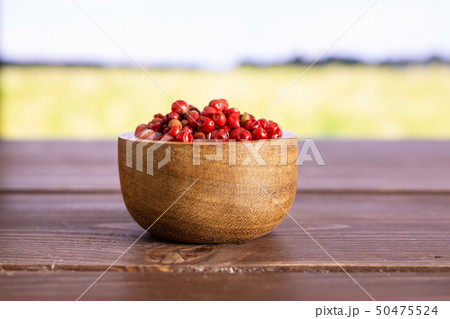 Pink peruvian pepper with field behind Pink peruvian pepper with field behind 50475524