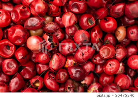 Pink peruvian pepper 50475540
