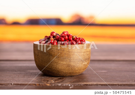 Pink peruvian pepper with autumn field behind 50475545