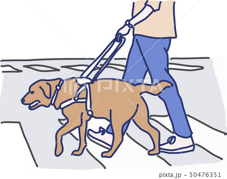 介護_盲導犬 介護_盲導犬 50476351