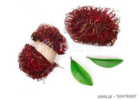 rambutan with leaves isolated on white background. Tropical fruit. Nephelium lappaceum. Top view 50476997