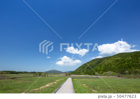 タデ原湿原 50477623
