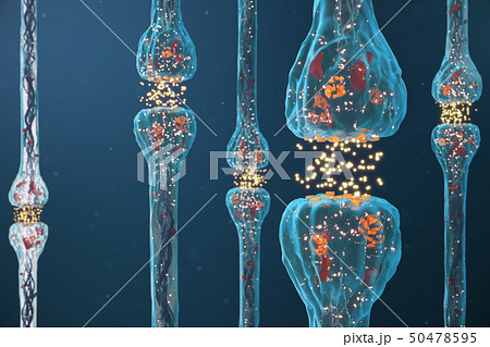 Synaptic transmission, human nervous system. Concept consciousness. Brain synapses. Transmission Synaptic transmission, human nervous system. Concept consciousness. Brain synapses. Transmission 50478595
