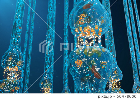 Synaptic transmission, nervous system receptors. Concept consciousness. Brain synapses. Transmission 50478600