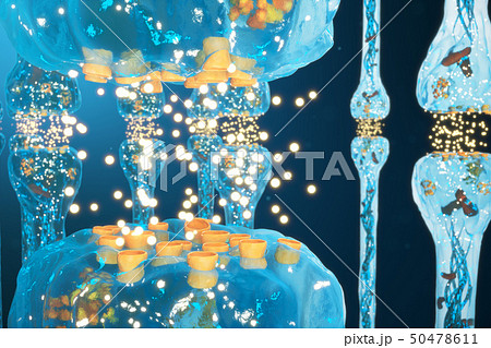 Synaptic transmission, nervous system receptors. Concept consciousness. Brain synapses. Transmission Synaptic transmission, nervous system receptors. Concept consciousness. Brain synapses. Transmission 50478611
