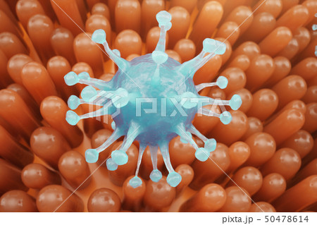 Intestinal villi, mucosa intestinal. Bacteria and microbes in intestines. Microscopic villi and 50478614