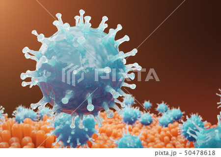 Intestinal villi. Intestine lining. Microscopic capillary. Human intestine. Concept of a healthy or 50478618