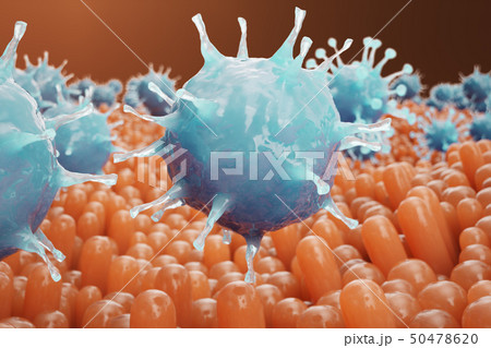 Intestinal villi. Intestine lining. Microscopic capillary. Human intestine. Concept of a healthy or 50478620