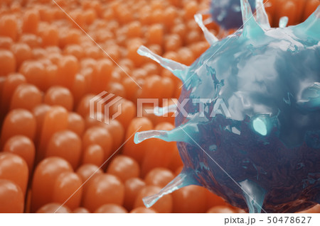 Intestinal villi. Intestine lining. Microscopic capillary. Human intestine. Concept of a healthy or 50478627