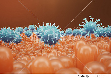 Intestinal villi, mucosa intestinal. Bacteria and microbes in intestines. Microscopic villi and 50478629
