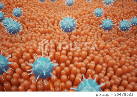 Intestinal villi, mucosa intestinal. Bacteria and microbes in intestines. Microscopic villi and 50478632