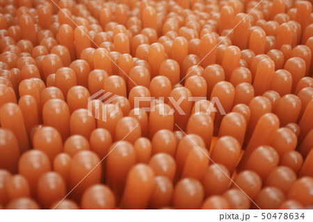 3D Rendering close-up Intestinal villi. Intestine lining. Microscopic villi and capillary. Human 50478634
