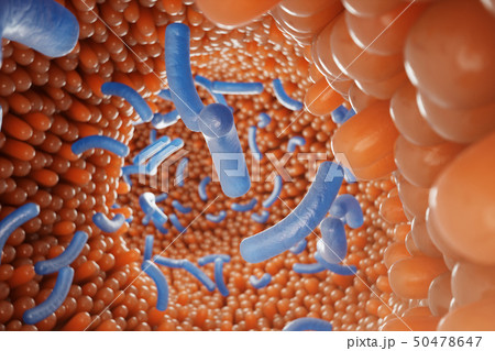 Intestinal villi, mucosa intestinal. Bacteria and microbes in intestines. Microscopic villi and 50478647