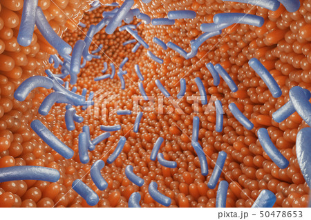 Intestinal villi, mucosa intestinal. Bacteria and microbes in intestines. Microscopic villi and 50478653