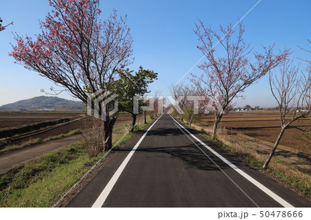 つくば霞ヶ浦りんりんロード,　　つくば市風景 50478666