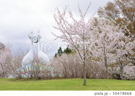富士見湖パークのお祭り広場(青森県鶴田町) 富士見湖パークのお祭り広場(青森県鶴田町) 50478668