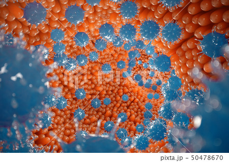 Intestinal villi. Intestine lining. Microscopic capillary. Human intestine. Concept of a healthy or 50478670