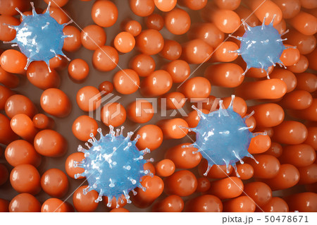 Intestinal villi, mucosa intestinal. Bacteria and microbes in intestines. Microscopic villi and 50478671